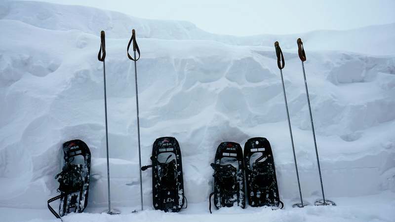 Homepage for Travel Tourism & Activities snowshoeing tours