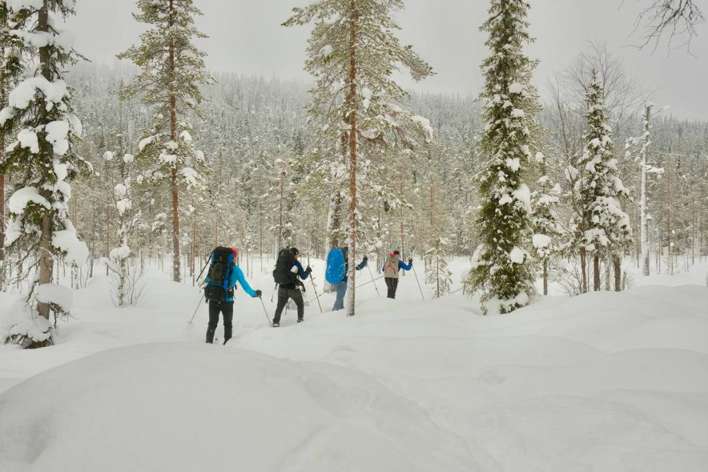 Snowshoe Thrill Route: 7 Proven Ways to Avoid a Painful Winter Adventure