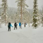 Snowshoe Thrill Route: 7 Proven Ways to Avoid a Painful Winter Adventure