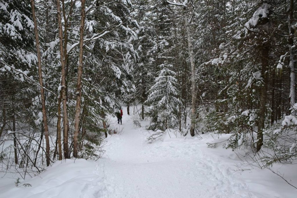 Fresh Powder Hike: 7 Proven Tips to Avoid Painful Mistakes