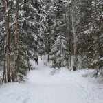 Fresh Powder Hike: 7 Proven Tips to Avoid Painful Mistakes
