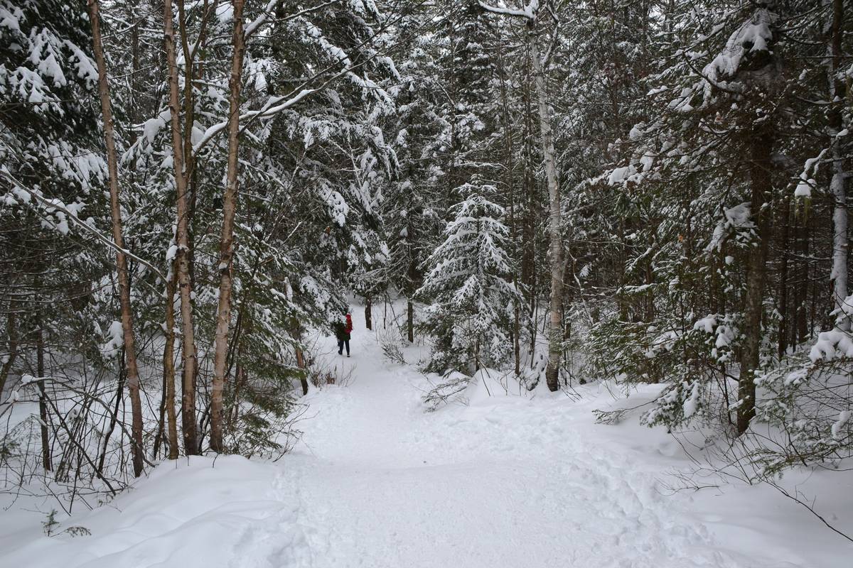 Fresh Powder Hike: 7 Proven Tips to Avoid Painful Mistakes