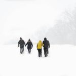 Snow Adventure Trip: 7 Proven Tips to Avoid Costly Mistakes