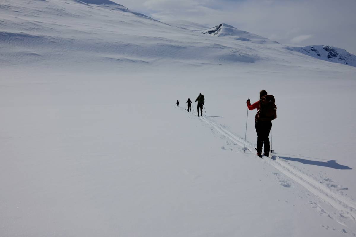 fresh powder hike through snowy forest with snowshoer in distance